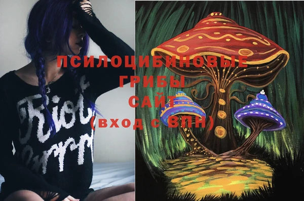 2c-b Богородицк