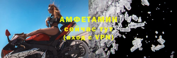 сатива Богданович
