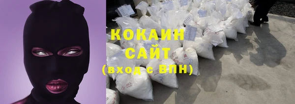 сатива Богданович
