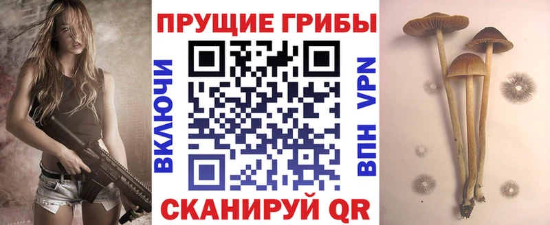 Галлюциногенные грибы мицелий  Купить где  Череповец 